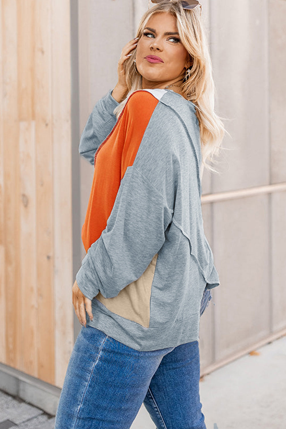 Multicolor Plus Size Colorblock Seamed Drop Shoulder Sweatshirt