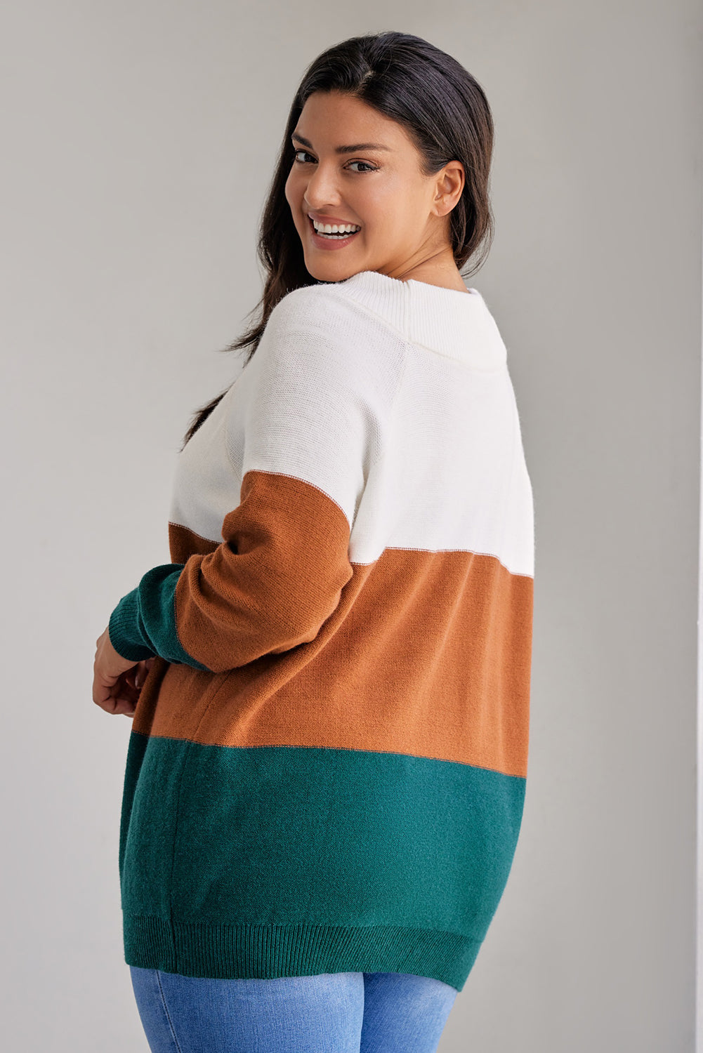 Brown Plus Size Ribbed Trim Color Block Sweater