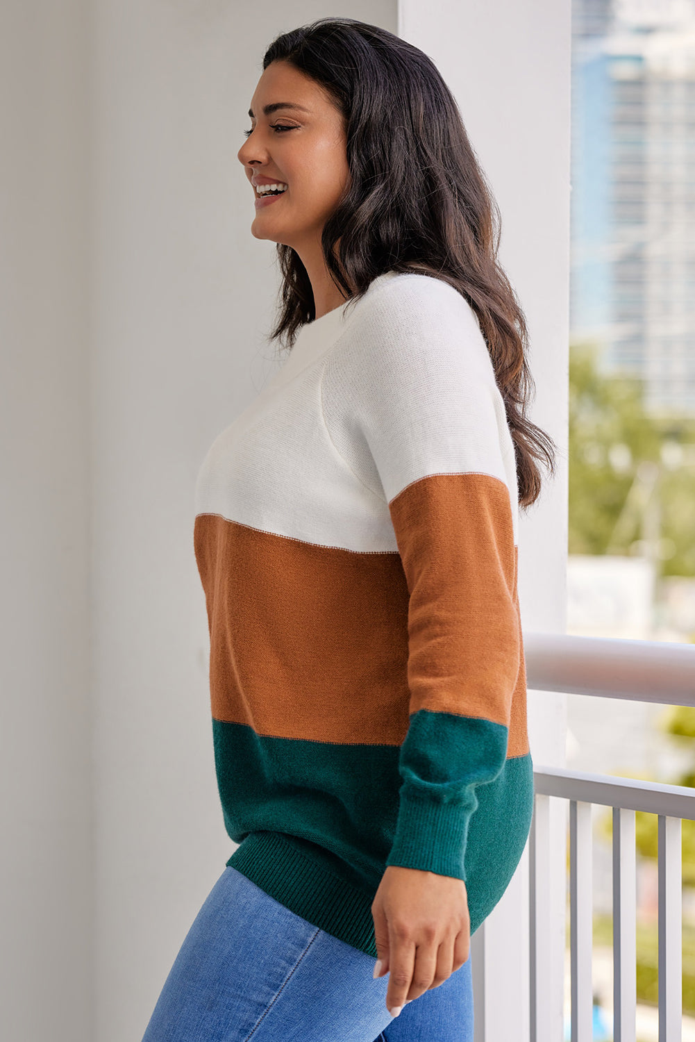 Brown Plus Size Ribbed Trim Color Block Sweater