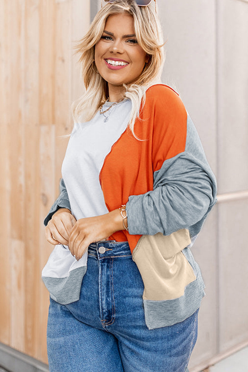 Multicolor Plus Size Colorblock Seamed Drop Shoulder Sweatshirt