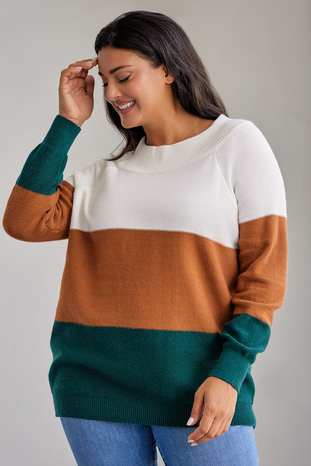 Brown Plus Size Ribbed Trim Color Block Sweater