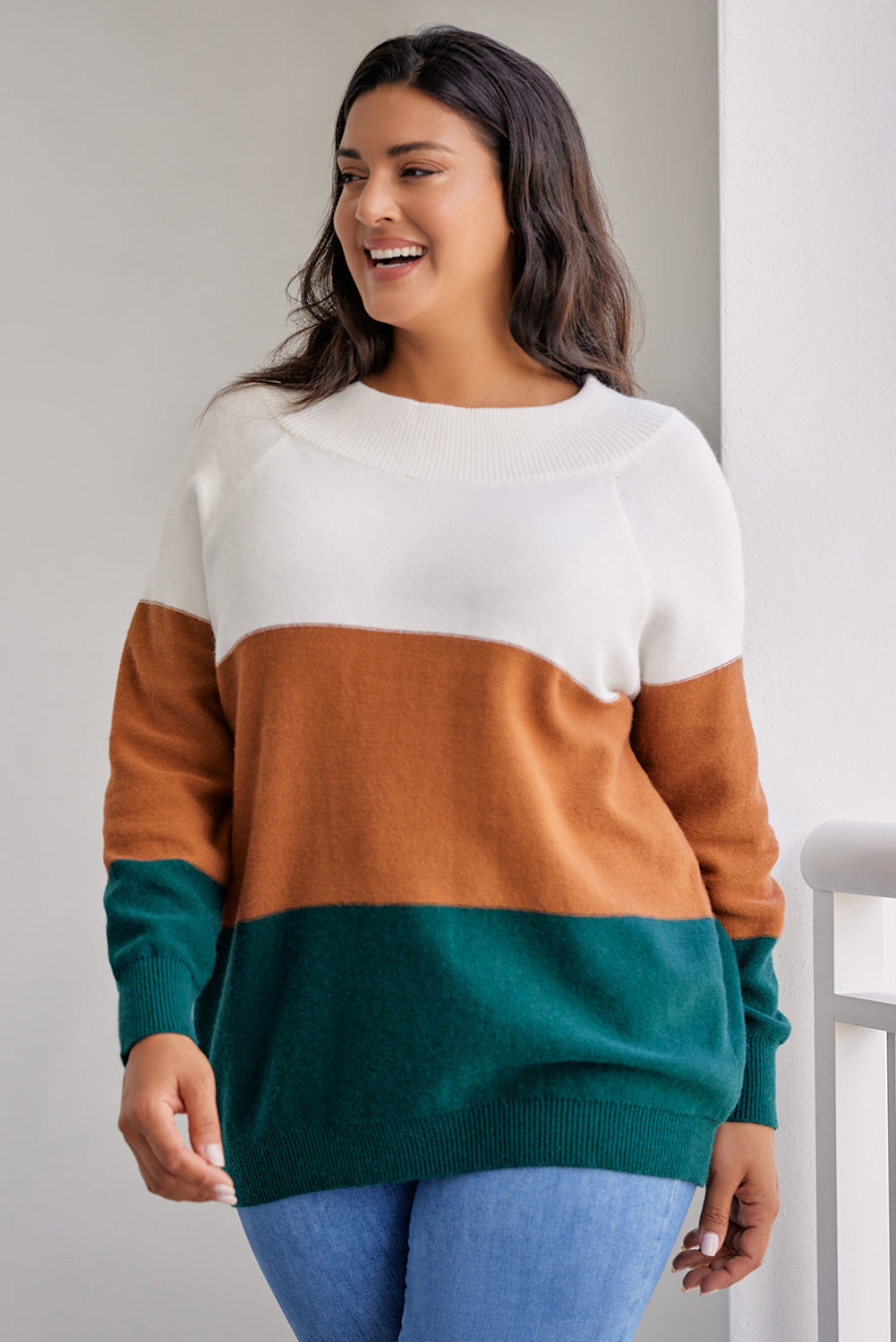 Brown Plus Size Ribbed Trim Color Block Sweater