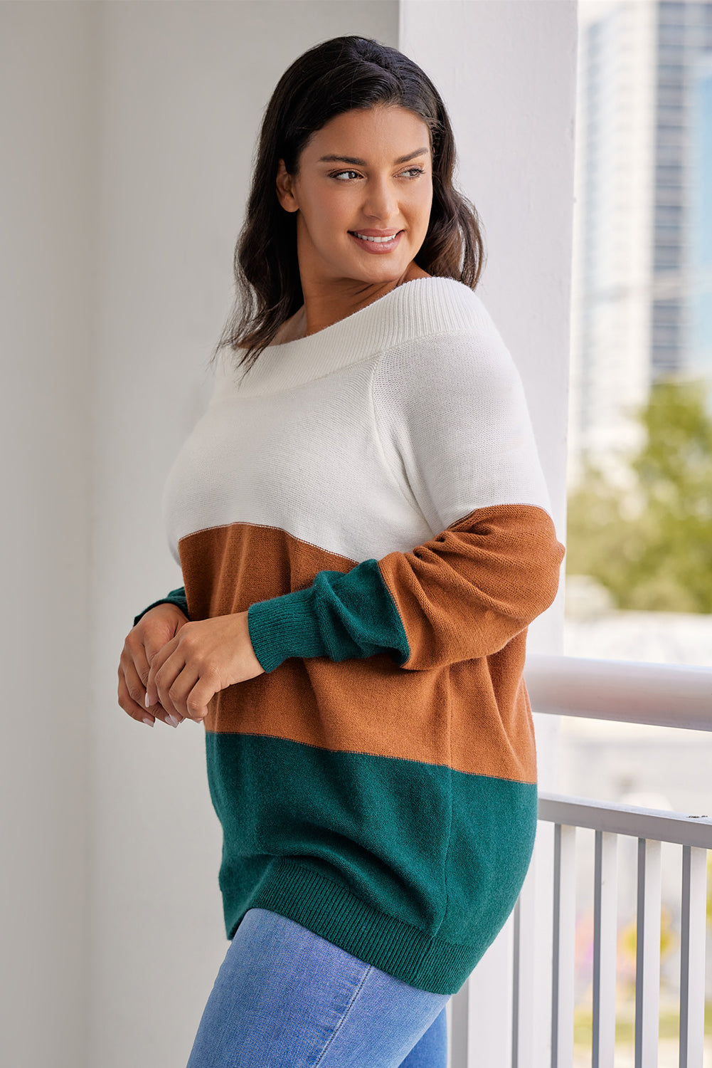 Brown Plus Size Ribbed Trim Color Block Sweater